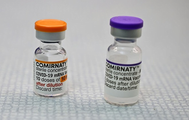 Coronavírus: cientistas descobrem anticorpos capazes de neutralizar a variante Ômicron