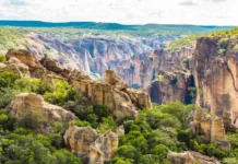Ministério do Turismo e UNESCO lançam edital para criação de curso voltado a guias de patrimônios mundiais no Brasil