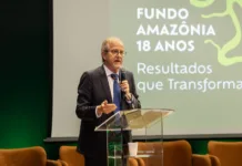 Fundo Amazônia quadruplica ritmo anual de aprovações desde a retomada da governança
