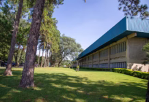 USP lidera universidades brasileiras entre as mais bem avaliadas da região