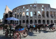 Itália propõe proibição de carruagens turísticas puxadas por cavalos em cidades históricas