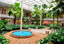 Instituto Rio Branco amplia acesso público e apresenta história da diplomacia brasileira em Brasília